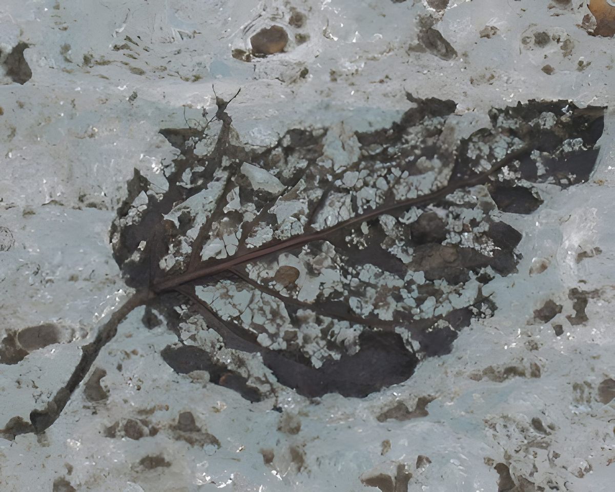 Beth, photograph 15