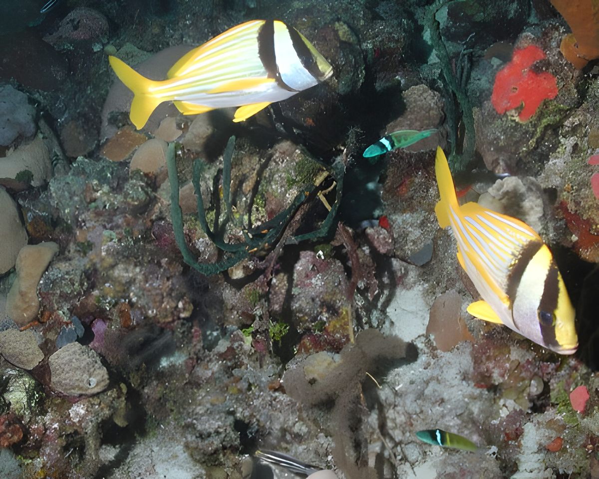 Cayo Largo, photograph 18