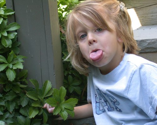 This is my granddaughter, Dakota Rose.