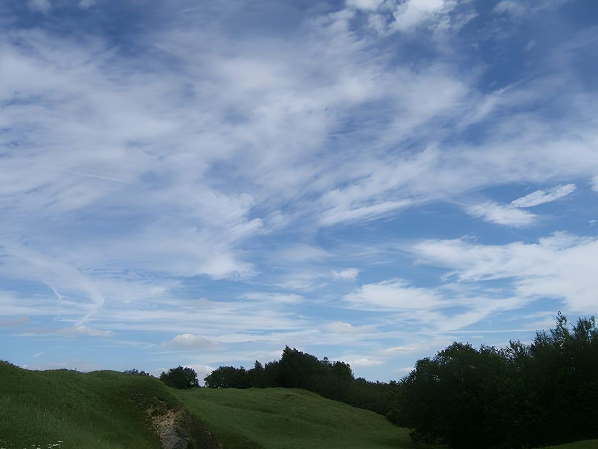 Trouhaut, photograph 19