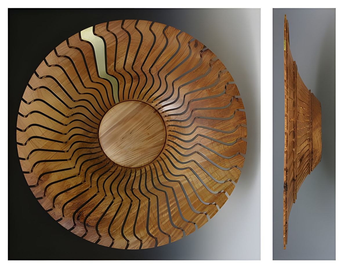 The piece above was entered into a competition at the AAW (American Association of Woodturners) convention in Kansas…