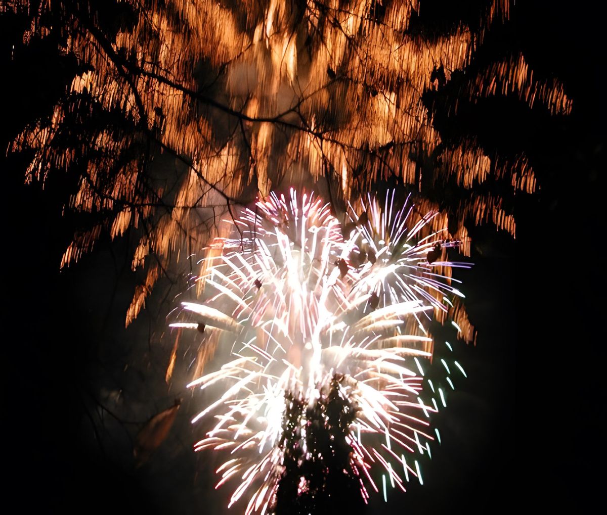 Fireworks (2)