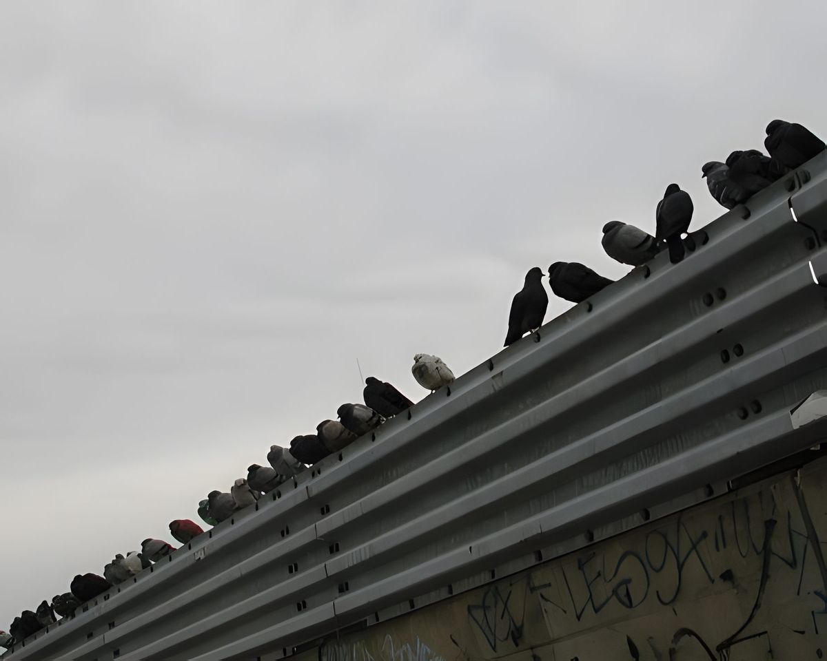 This was taken on the West Side by the old rail yards.