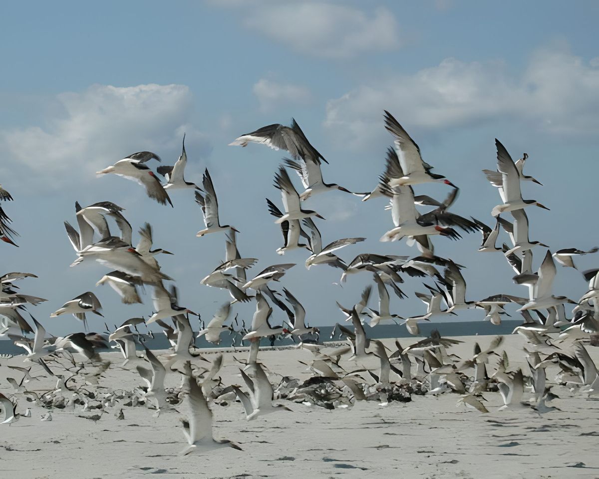 This was taken in Cape May, NJ on the beach.