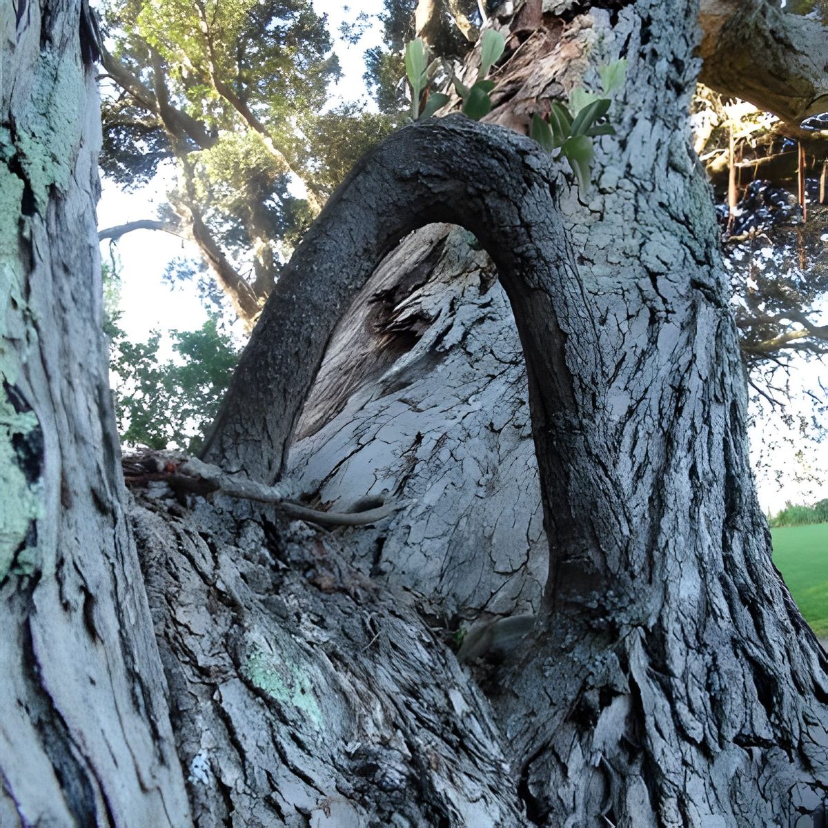 This branch didn't have an end.