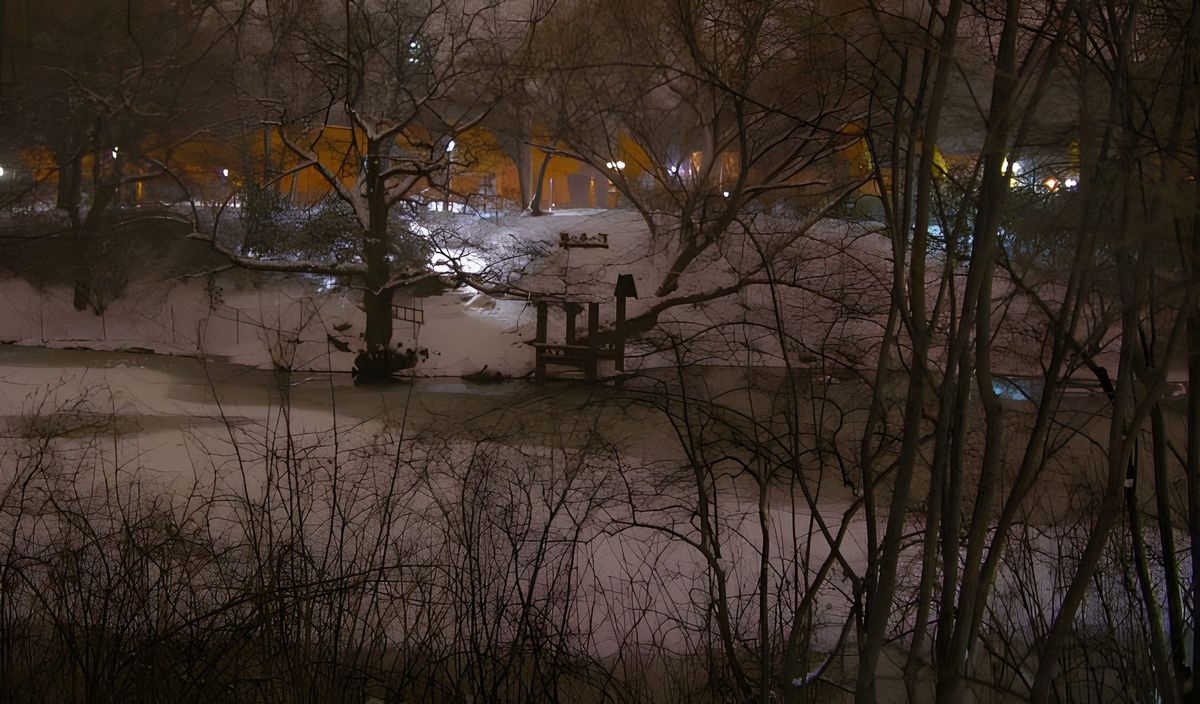 The Gates, photograph 18